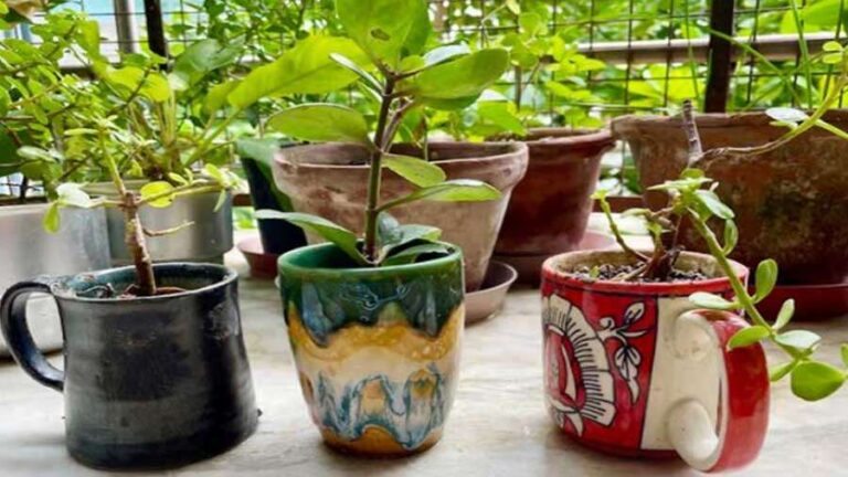 DIY Upcycled Planters and Vases to Transform Your Space
